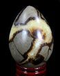 Polished Septarian Egg #41791-1